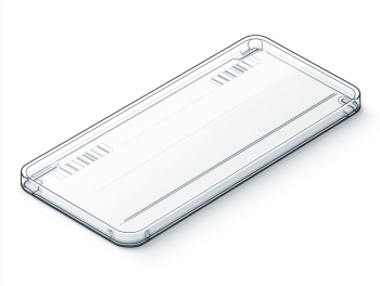 Gel Electrophoresis and Western Blot